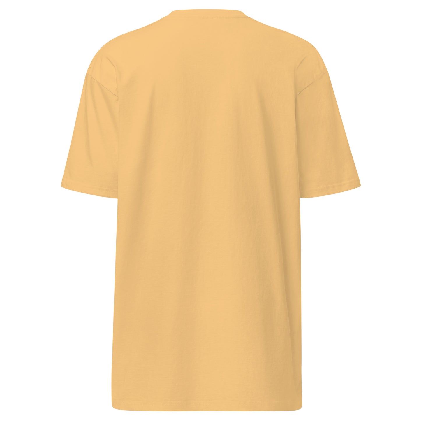 Fitness Sanctuary Men’s Premium Heavyweight T-Shirt