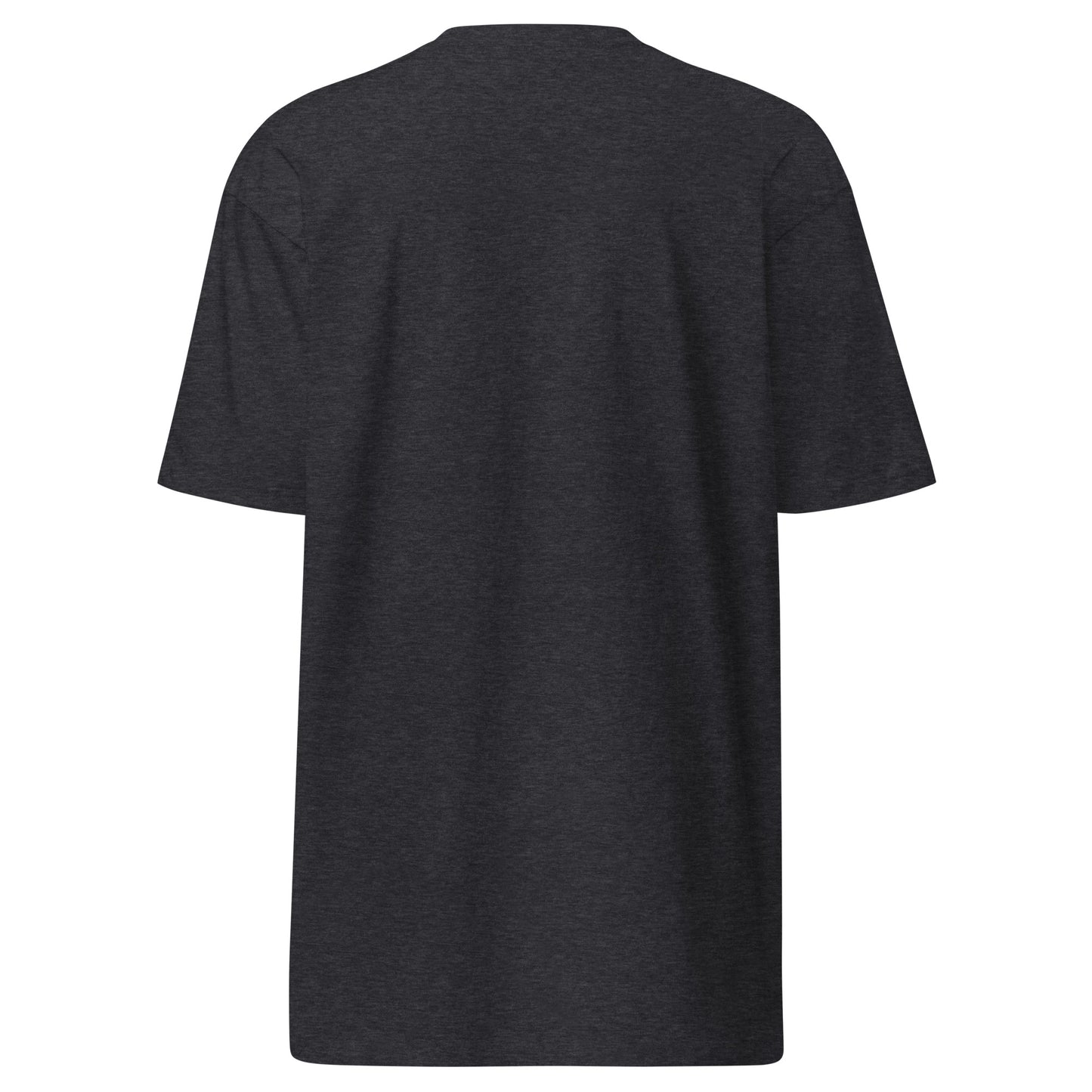 Fitness Sanctuary Men’s Premium Heavyweight T-Shirt